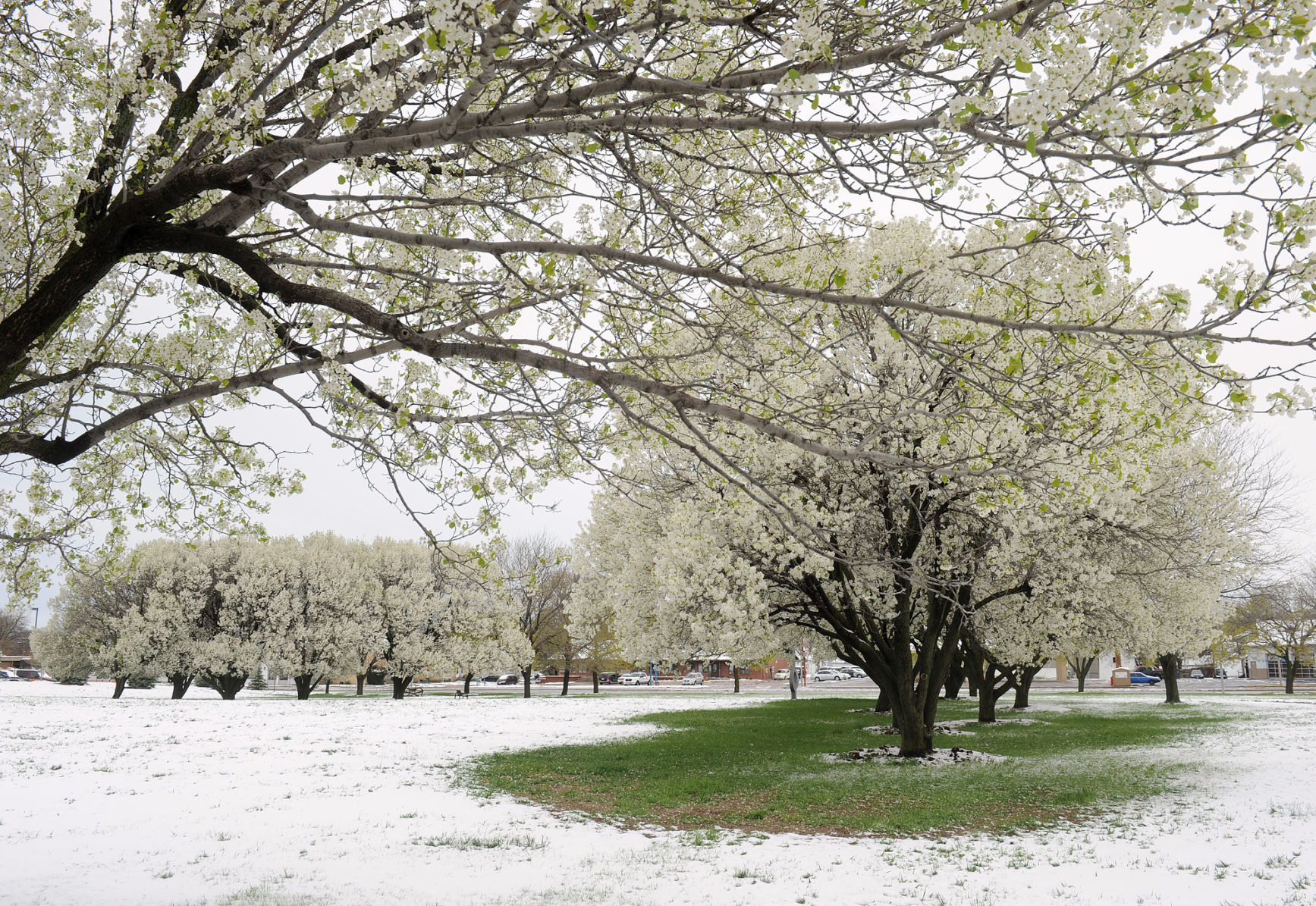 Snow in May